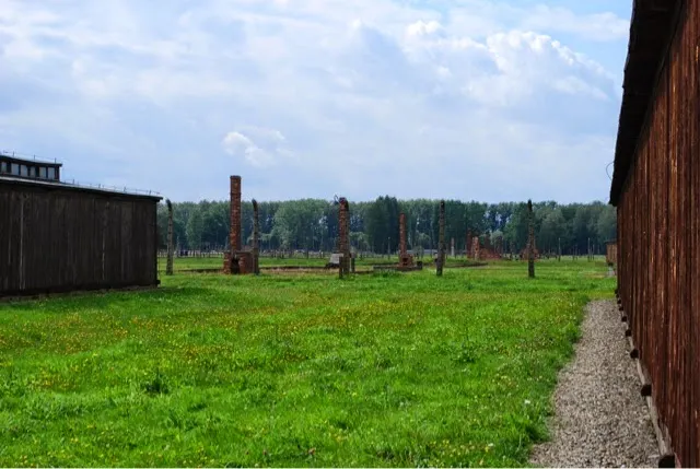 Most of the wooden barracks were destroyed and only the brick chimneys still stand....