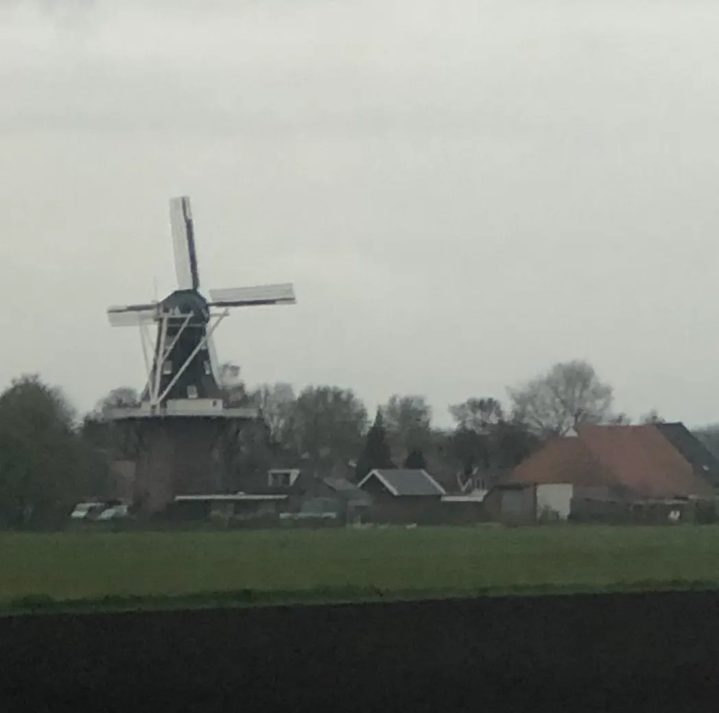 Windmills seen in lots of places here.