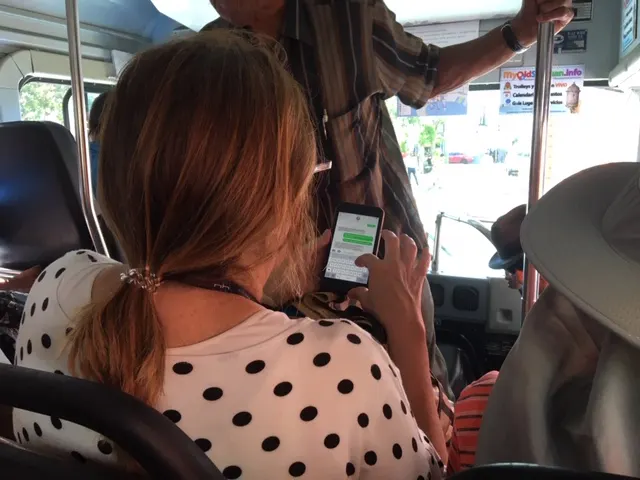 This is how you tour the city...texting while being driven around....