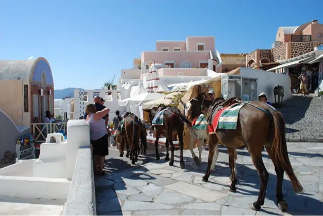 Such a pretty place...but still mules go up and down. But this time...did not see poop!