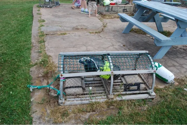 A Lobster trap....seen all over this island.