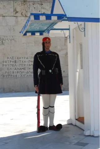 They stand guard at a tomb of the unknown soldier like we do.