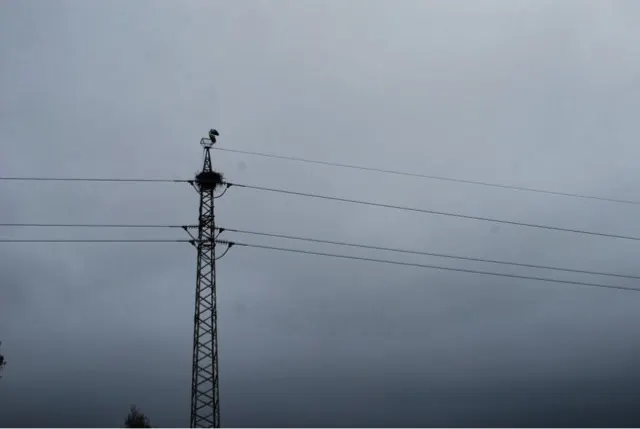 As we drove to Portugal we noticed these large bird nests on power poles. Guess what kind of bird it is....Storks!