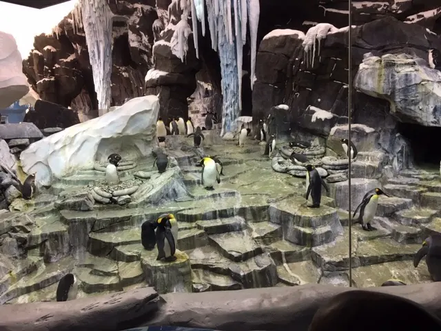 There was a ride that took you into a penguin exhibit. Although these guys were behind glass, the ride emptied you into an open air area where the temperature was 32 degrees and you could literally reach out and touch penguins. There were a ton of the birds standing, swimming and so on. Nice exhibit.