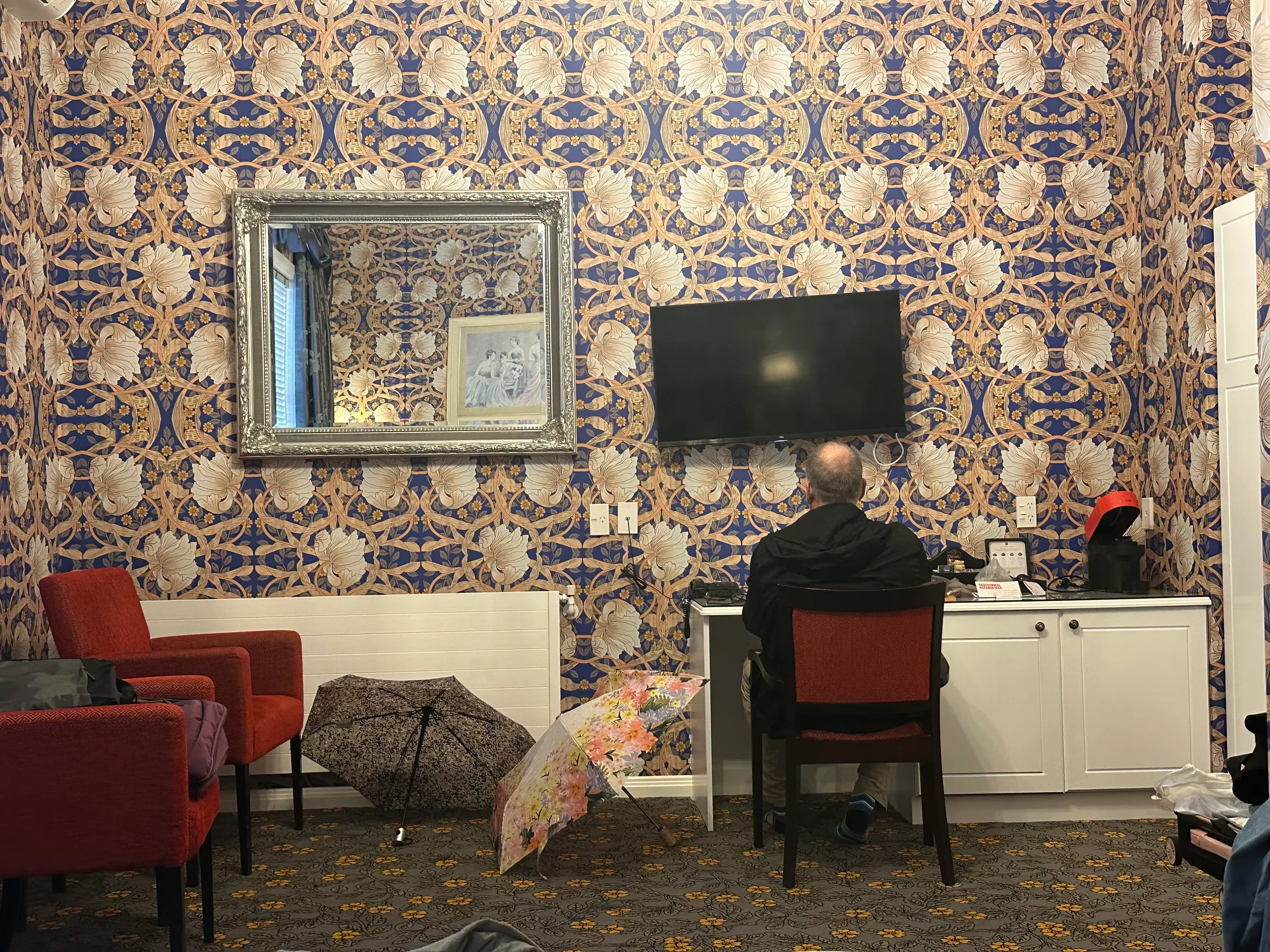 That’s me, the bald headed one, doing my blog in our crazy wall papered room!