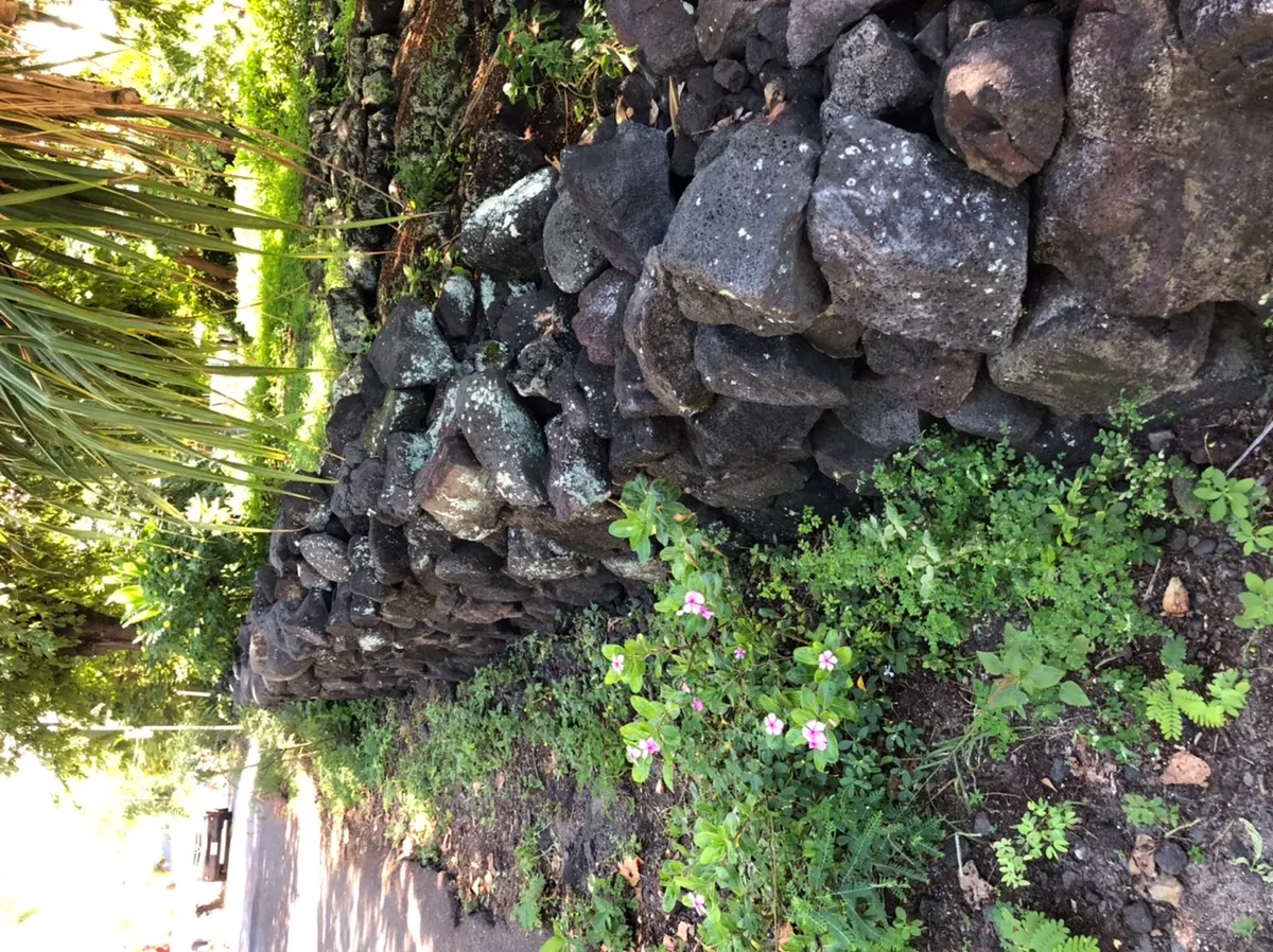 The roadway rock work...sorry that it is sideways.