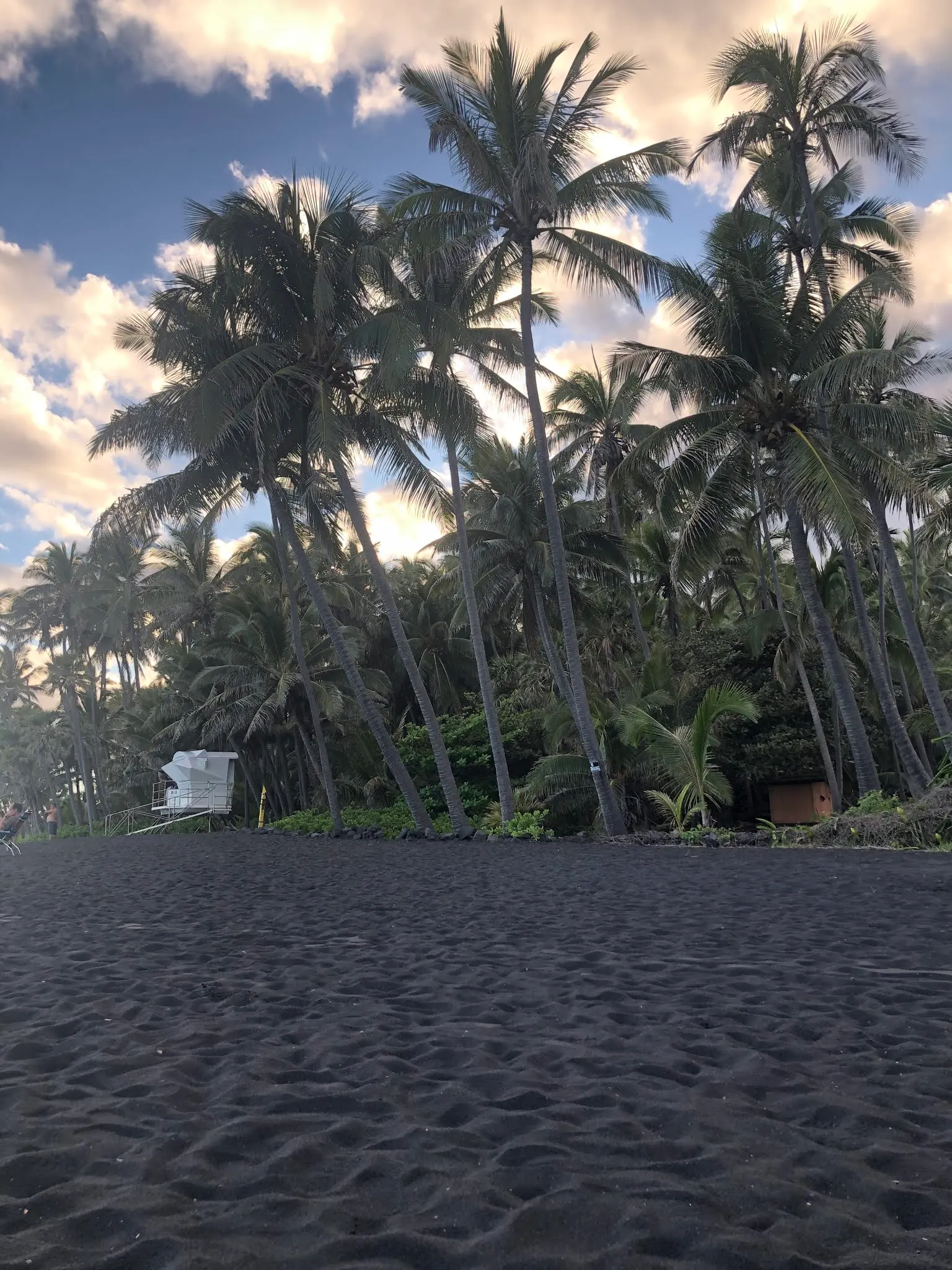 Black Sand Beach.....