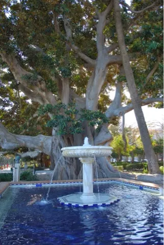 A fountain with water! Yea! The tree behind it was pretty cool.
