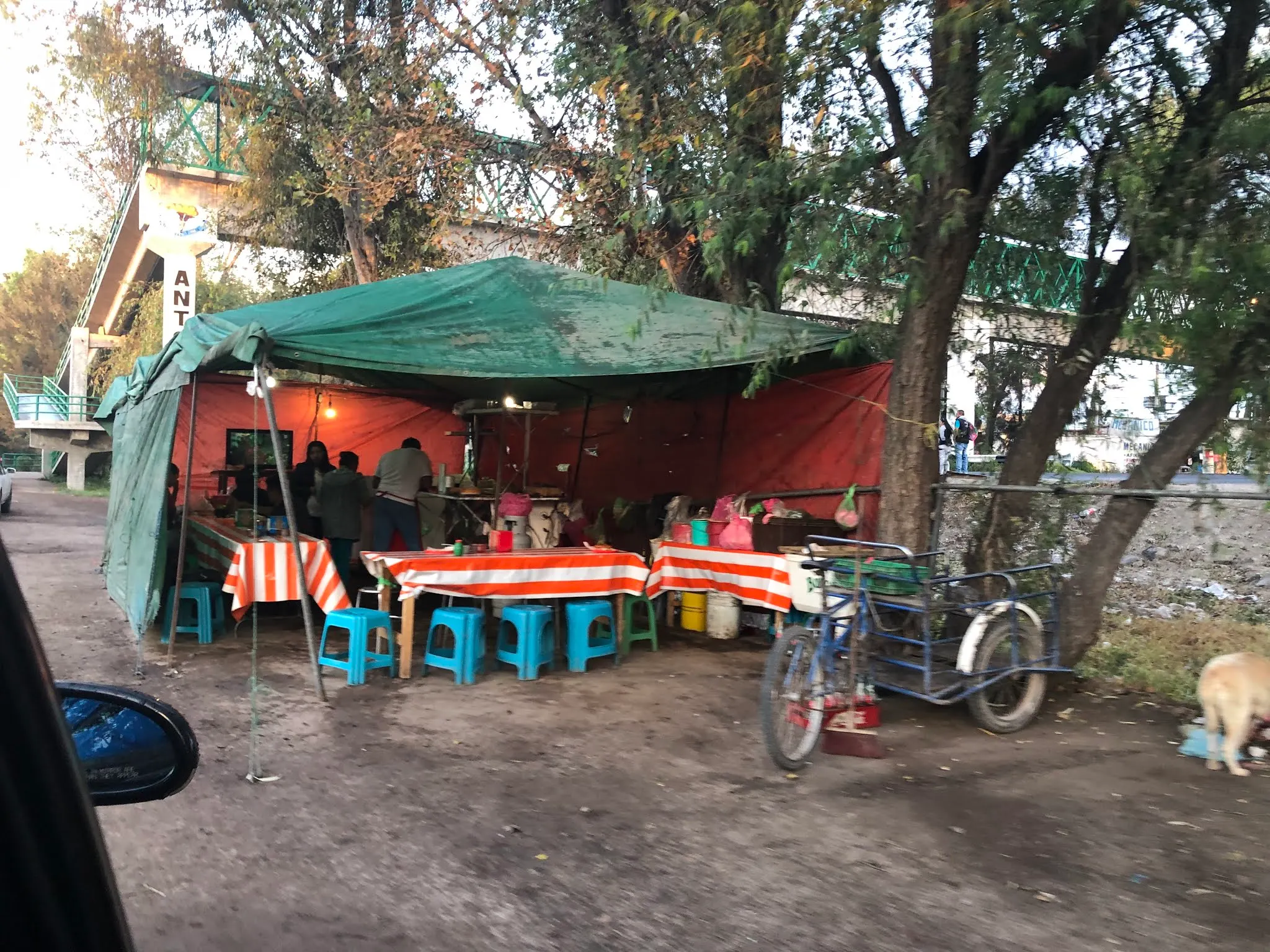 The taco stand in their neighborhood. I guess Juan and Neza at tacos there last night and swear they are the best in Mexico!