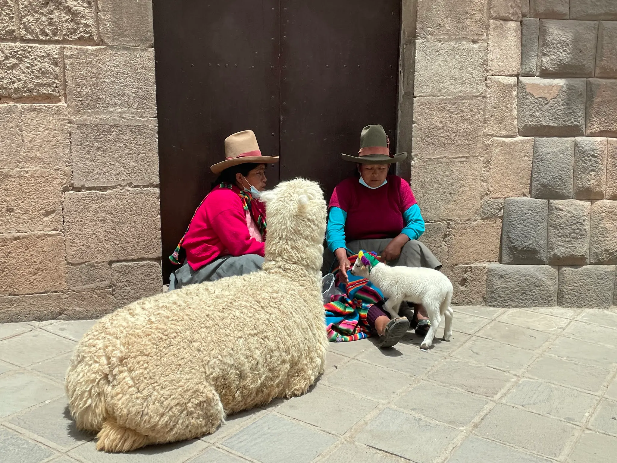 These ladies would ask to have a picture taken with them and then they would want payment for it. But you can see the small Alpaca…I believe it is an Alpaca.