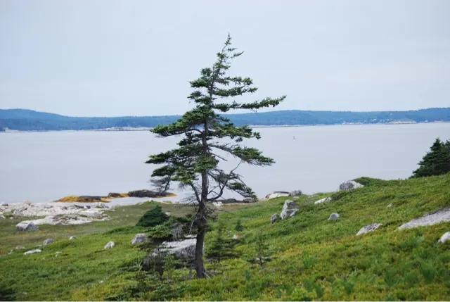 Peggy's Cove....