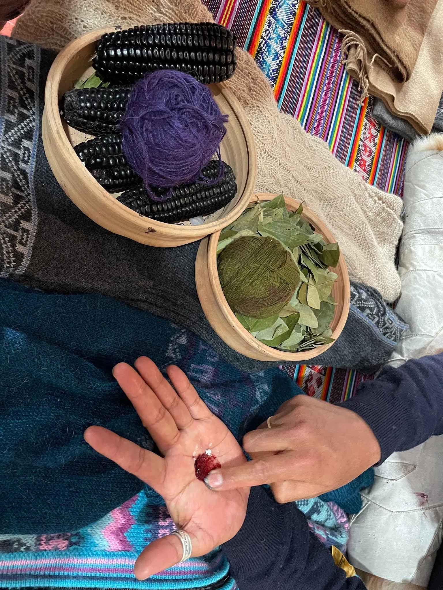 The guy at the Alpaca farm showed us how they made the dye that is used to dye Llama and Alpaca wool. They squish bugs, they can add lemon juice and so on to get the colors they need. Pretty bizarre.