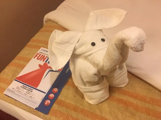 A towel elephant....