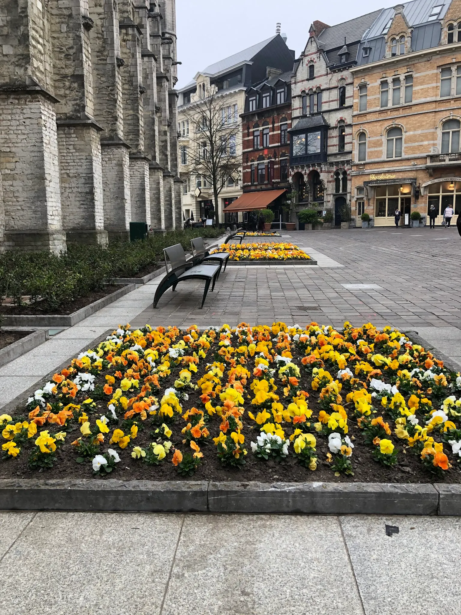 Flowers in Gent.