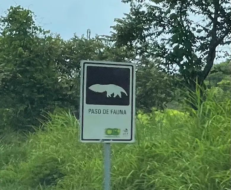 You see interesting road signs about different types of animal crossings. Here are a few of them…you have to guess what the animals are…..