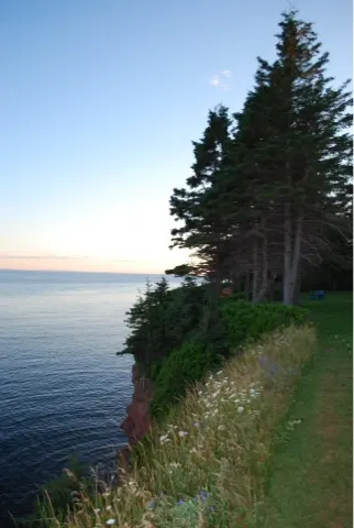 The Cliffside Inn.....