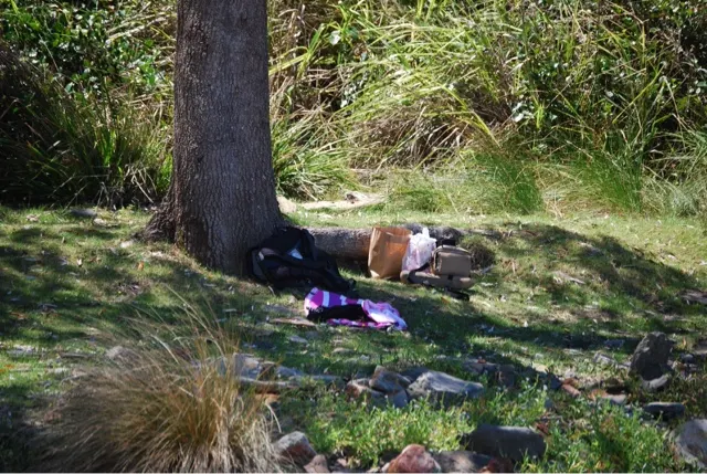 Notice...no Kangaroos any where. Just an empty picnic spot.