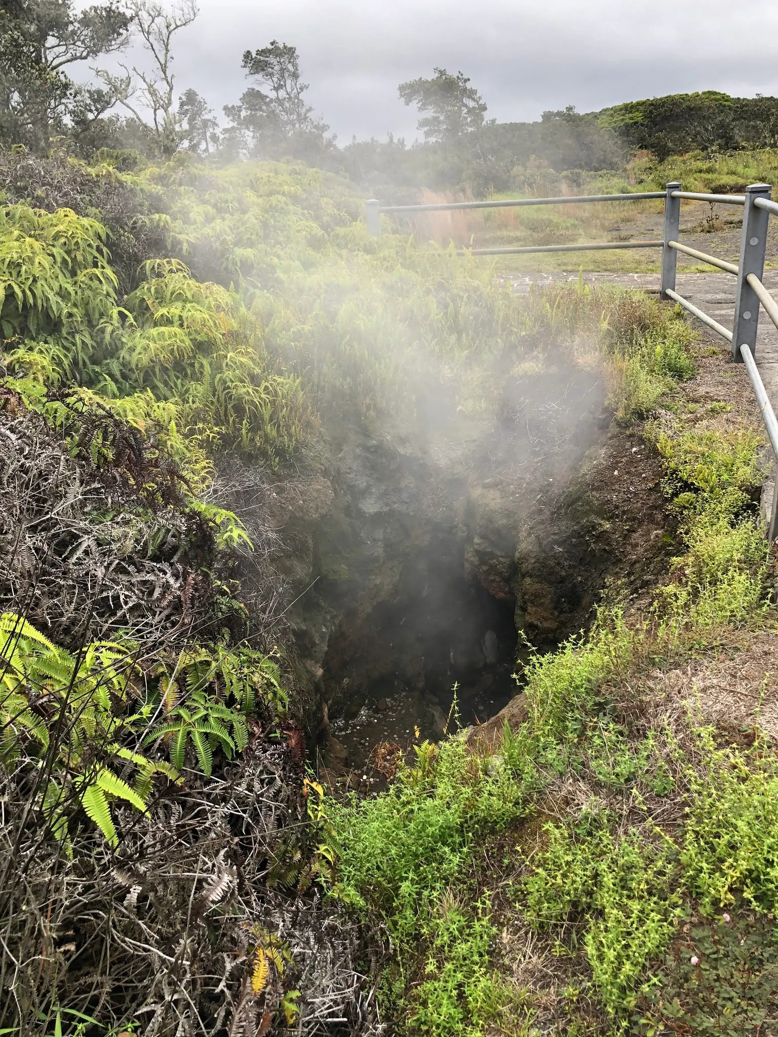 Steam Vents in Volcano National Park