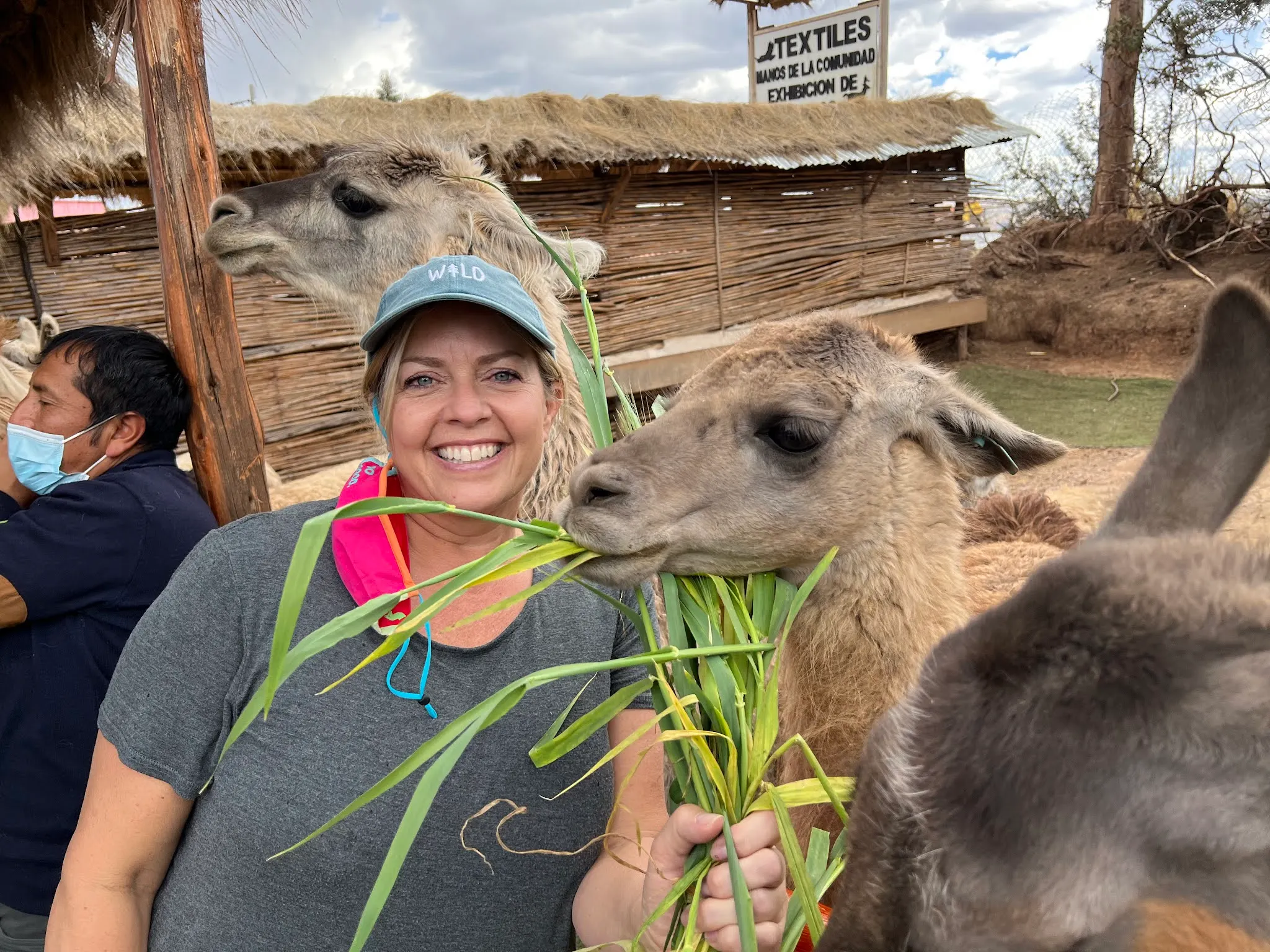 Heidi feeding a Llama friend….