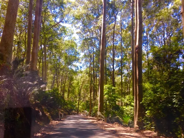 The small road to Pebbley Beach....