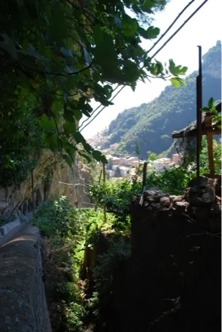 Our path back to Amalfi...steep, long but beautiful.