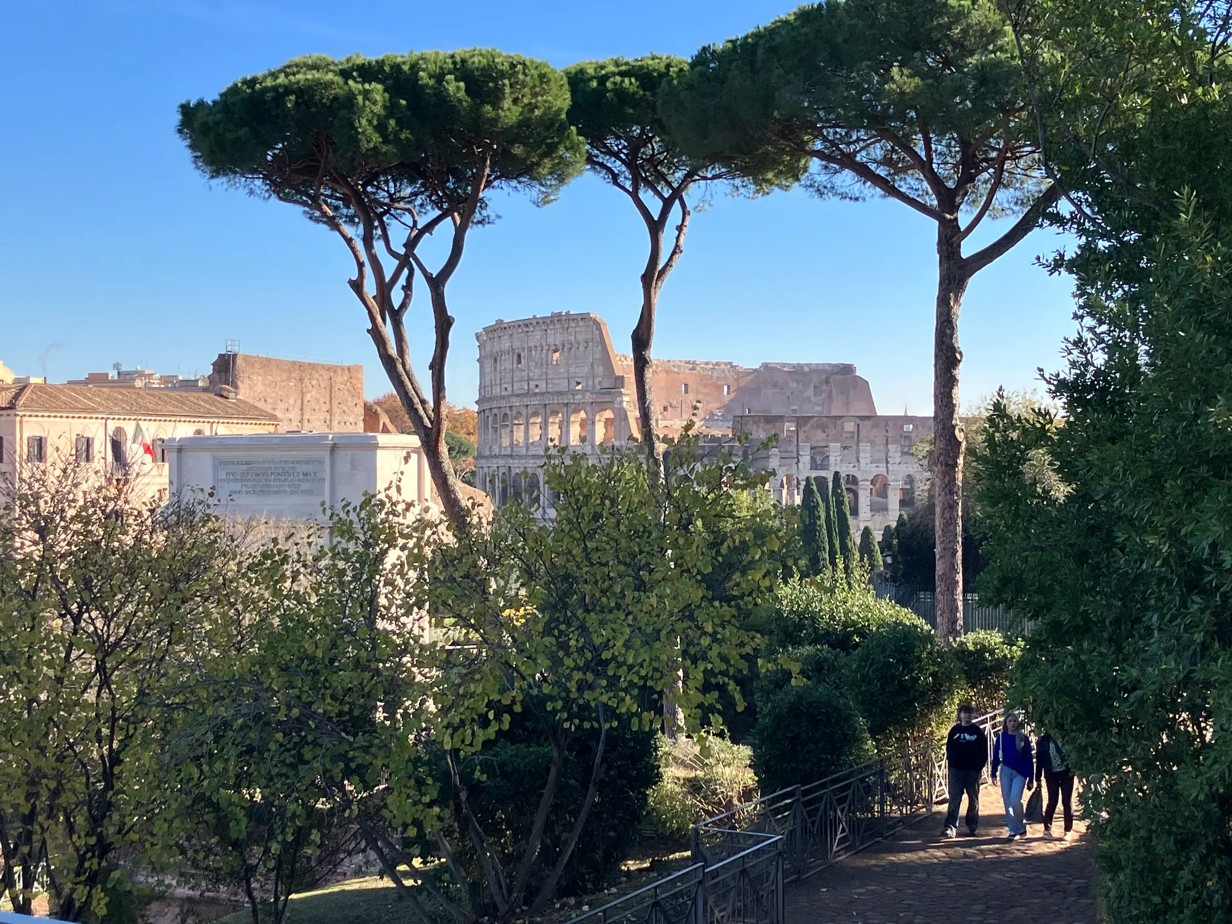 I liked the trees in this picture with the Coliseum in the background.