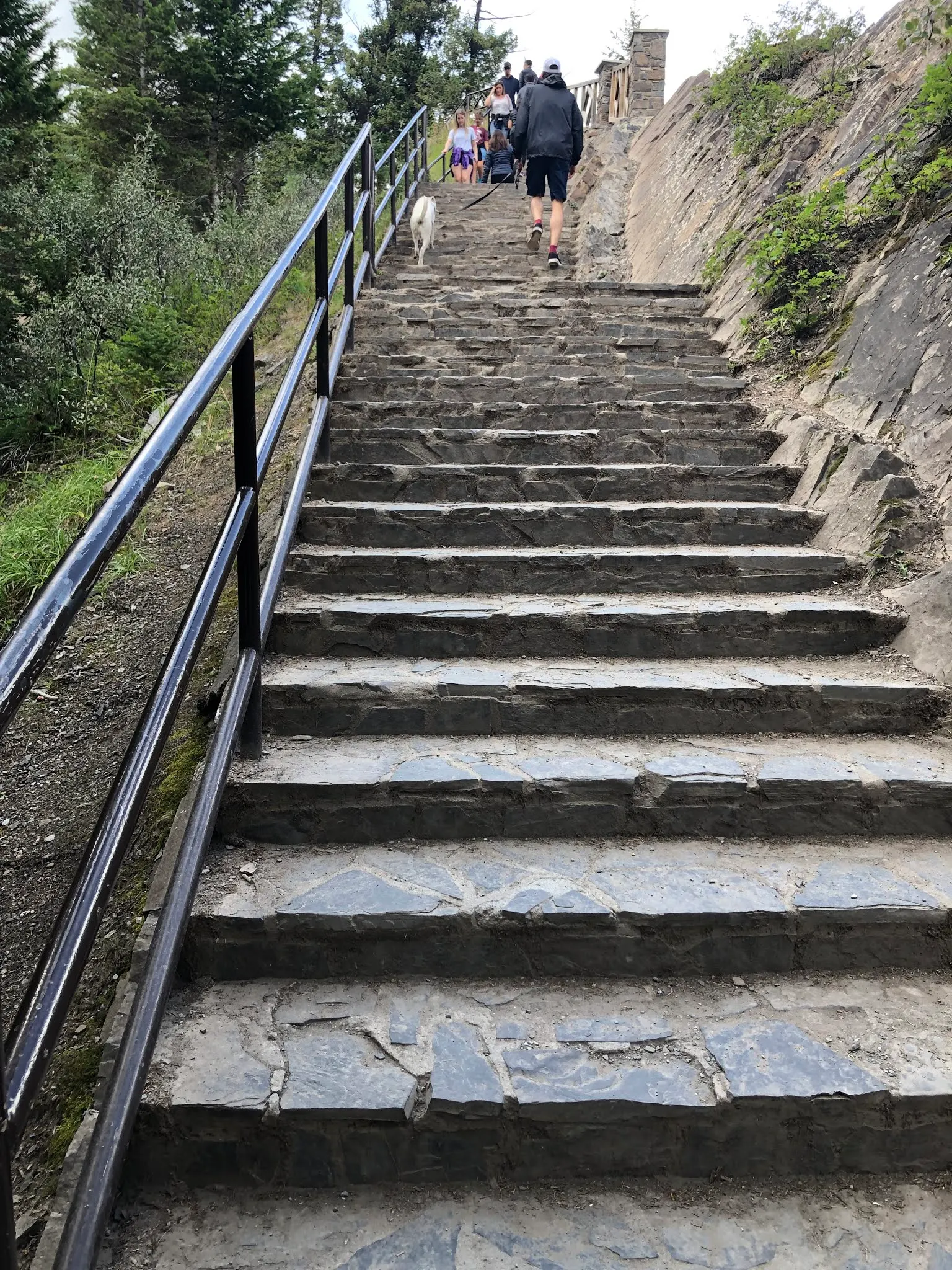 Stairs to the falls overlook.....