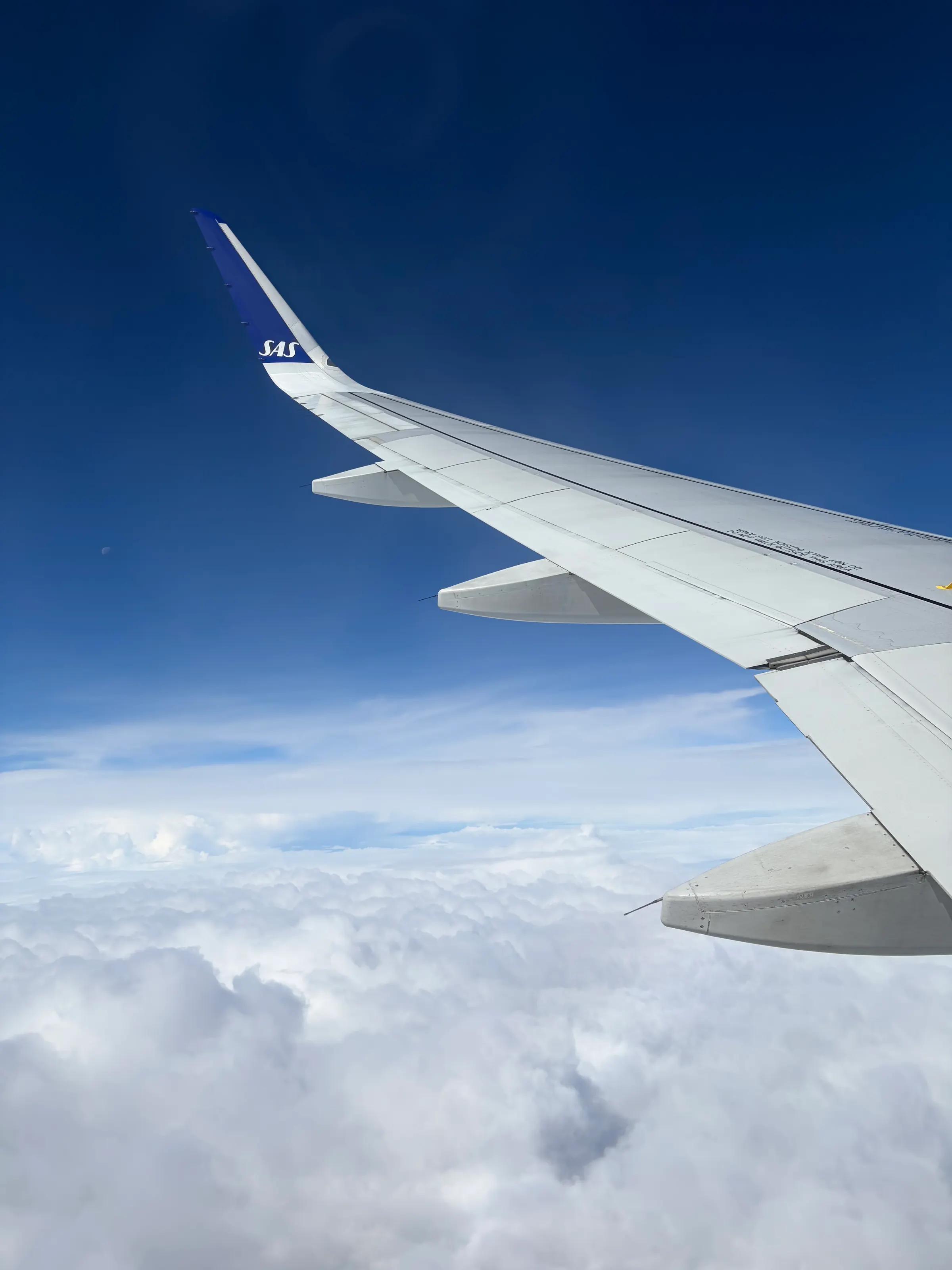 I loved the cotton-esque clouds that we flew over from Paris to Copenhagen. It was interesting, Paris was warm…Copenhagen wet and cool.
