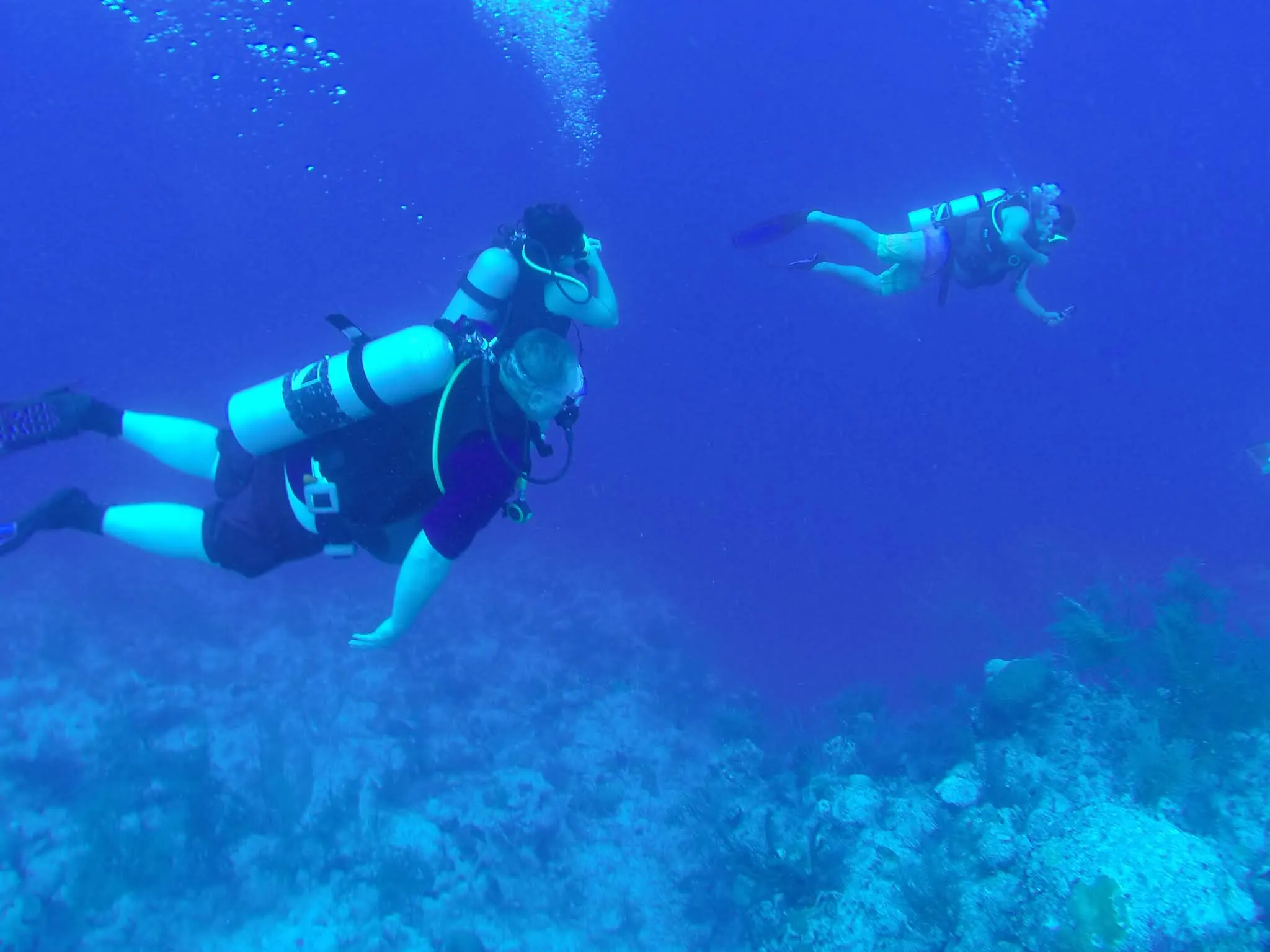 The scuba dive adventure. Look closel, you'll see a great white shark....(Jeff).