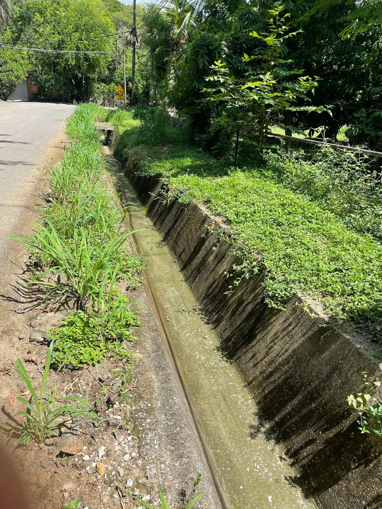 Their gutters are deep…rightfully so. When it rains, it can drop it fast. These carry it away pretty quickly.