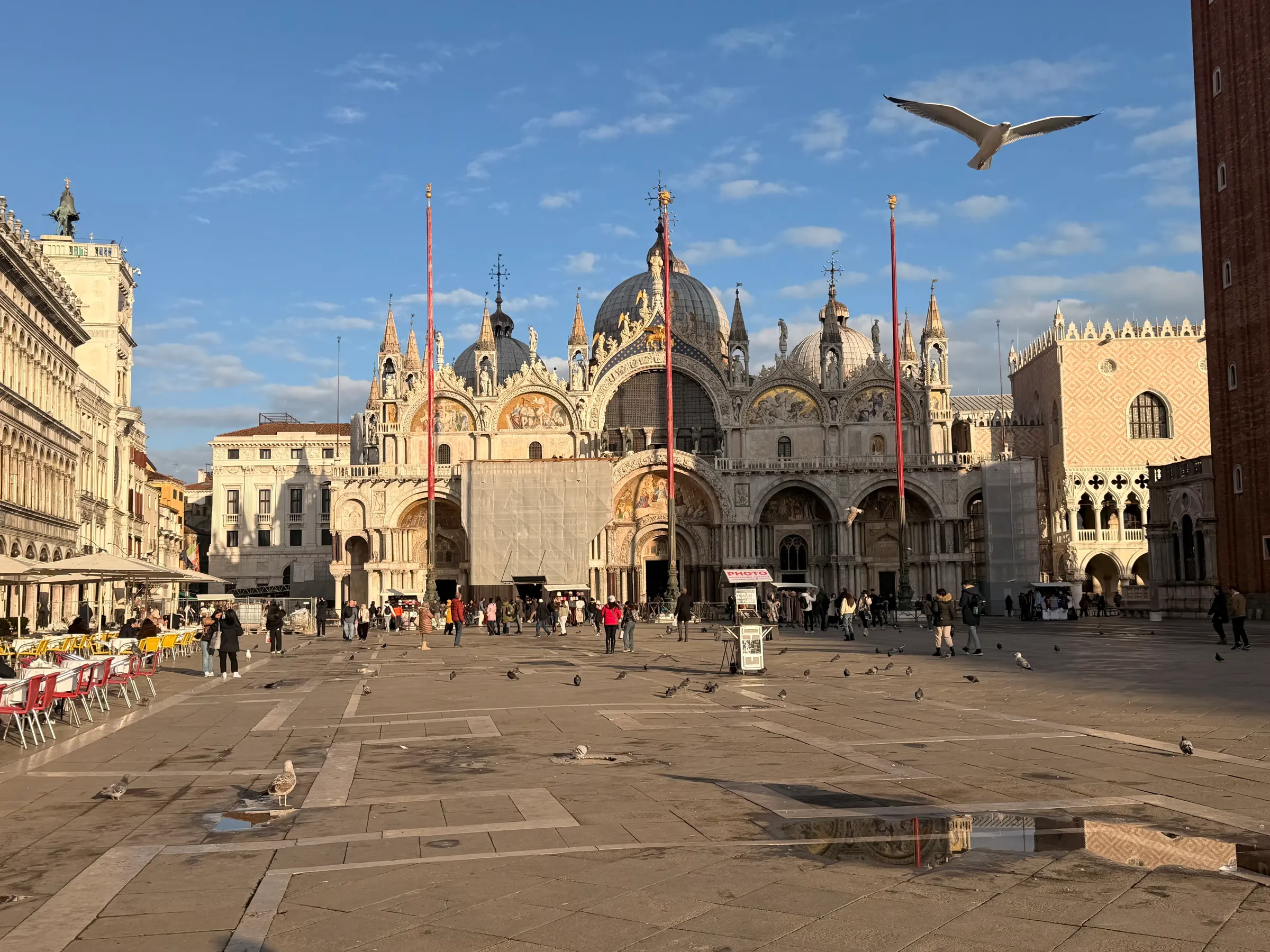 San Marcos Piazza. Nice picture of one of the hundreds of birds roaming around there. Could he be the one that unloaded on Denise’s head?