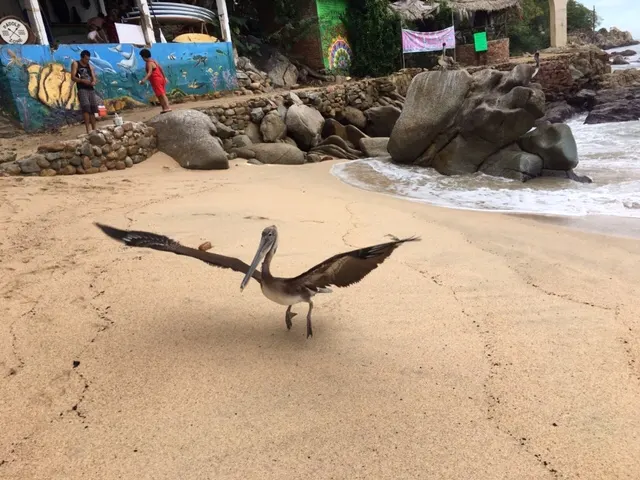 A feathery friend....
