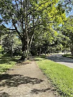 This is the path we took on our walk out of our hotel. We walked for maybe 30 minutes max to get to a little mercado where we bought a few things.