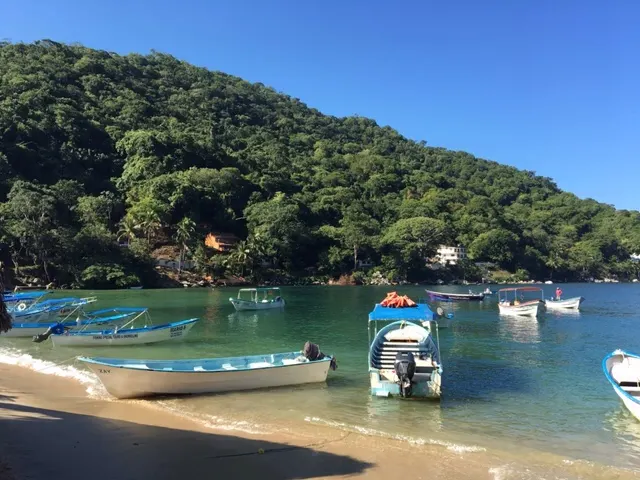 Water taxis at Boca de Tomatlan....
