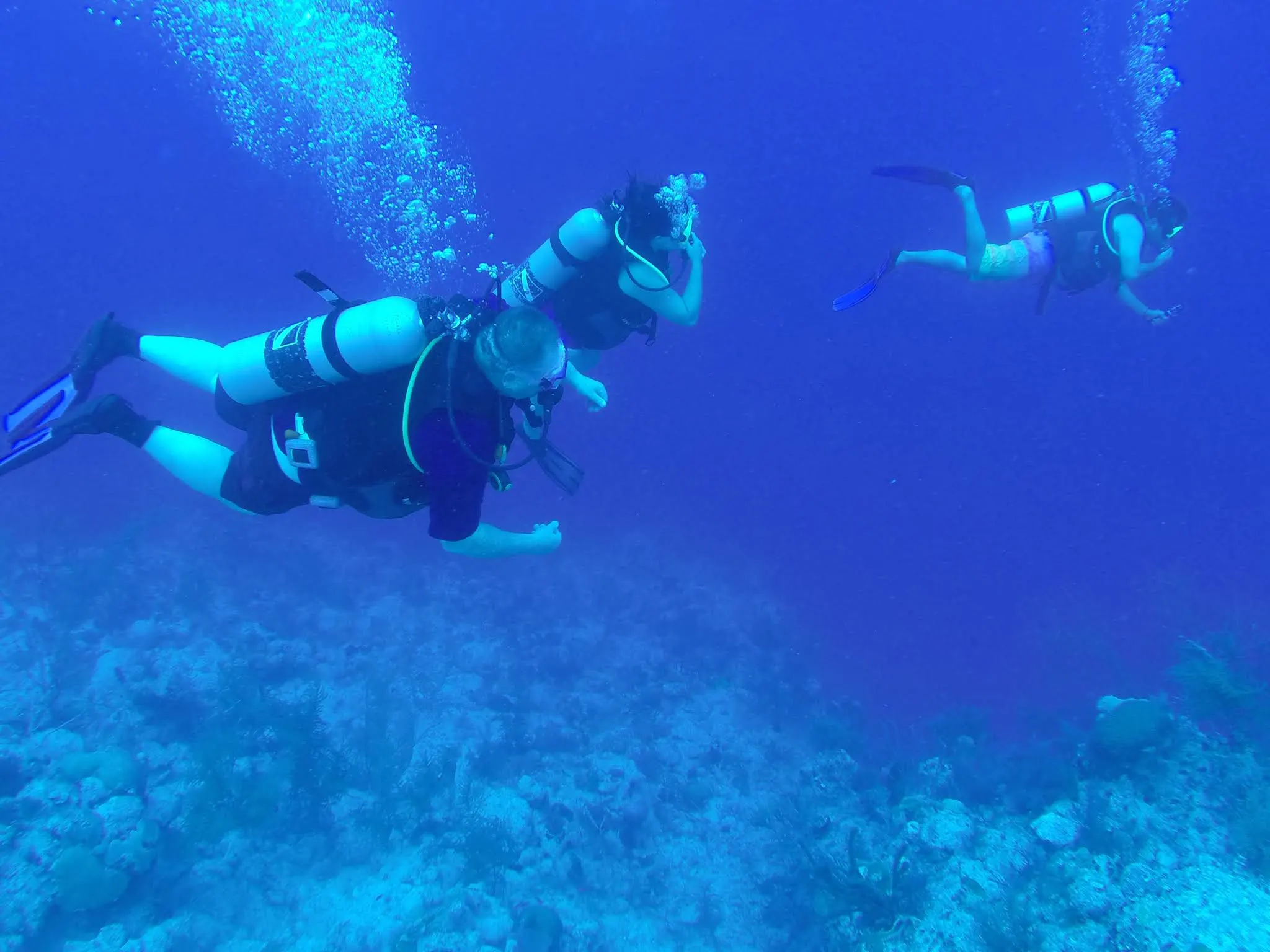 The scuba dive adventure. Look closel, you'll see a great white shark....(Jeff).
