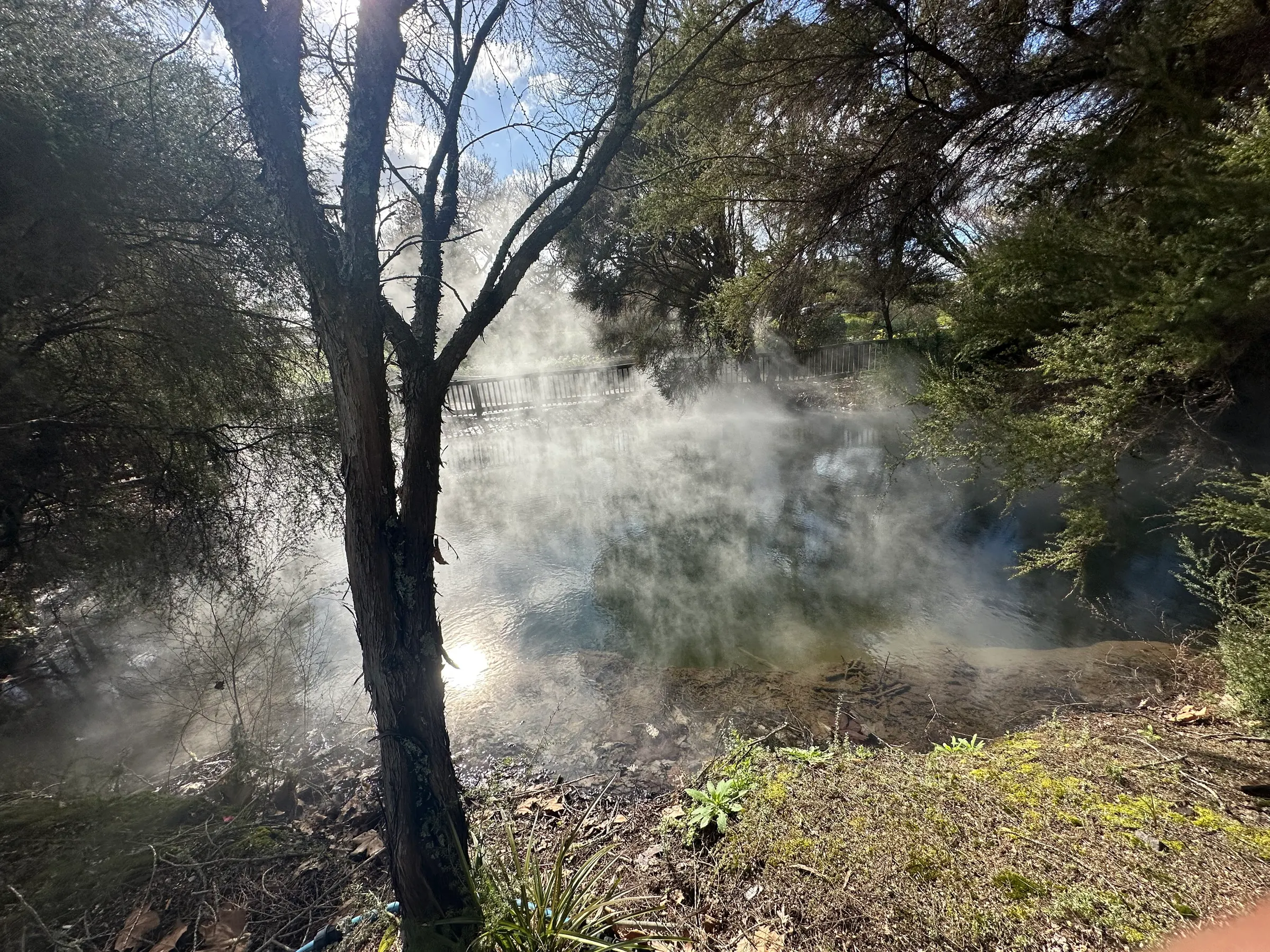 A few of the hot thermal ponds at Kuraiu Park.