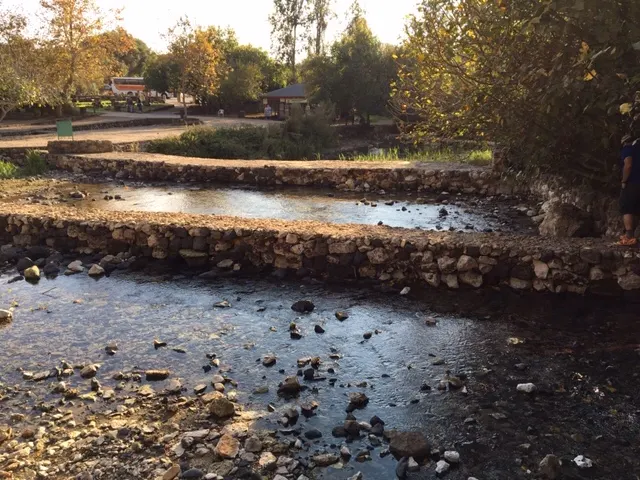 A spring comes out of this area and flows down....