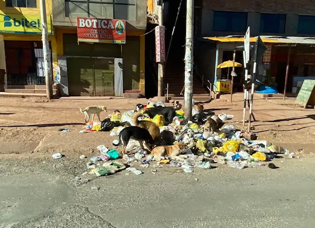 Sadly, in Cusco you can see displays of trash. This was a nasty one that we passed on our way to the Poroy train station where the dogs were having breakfast.