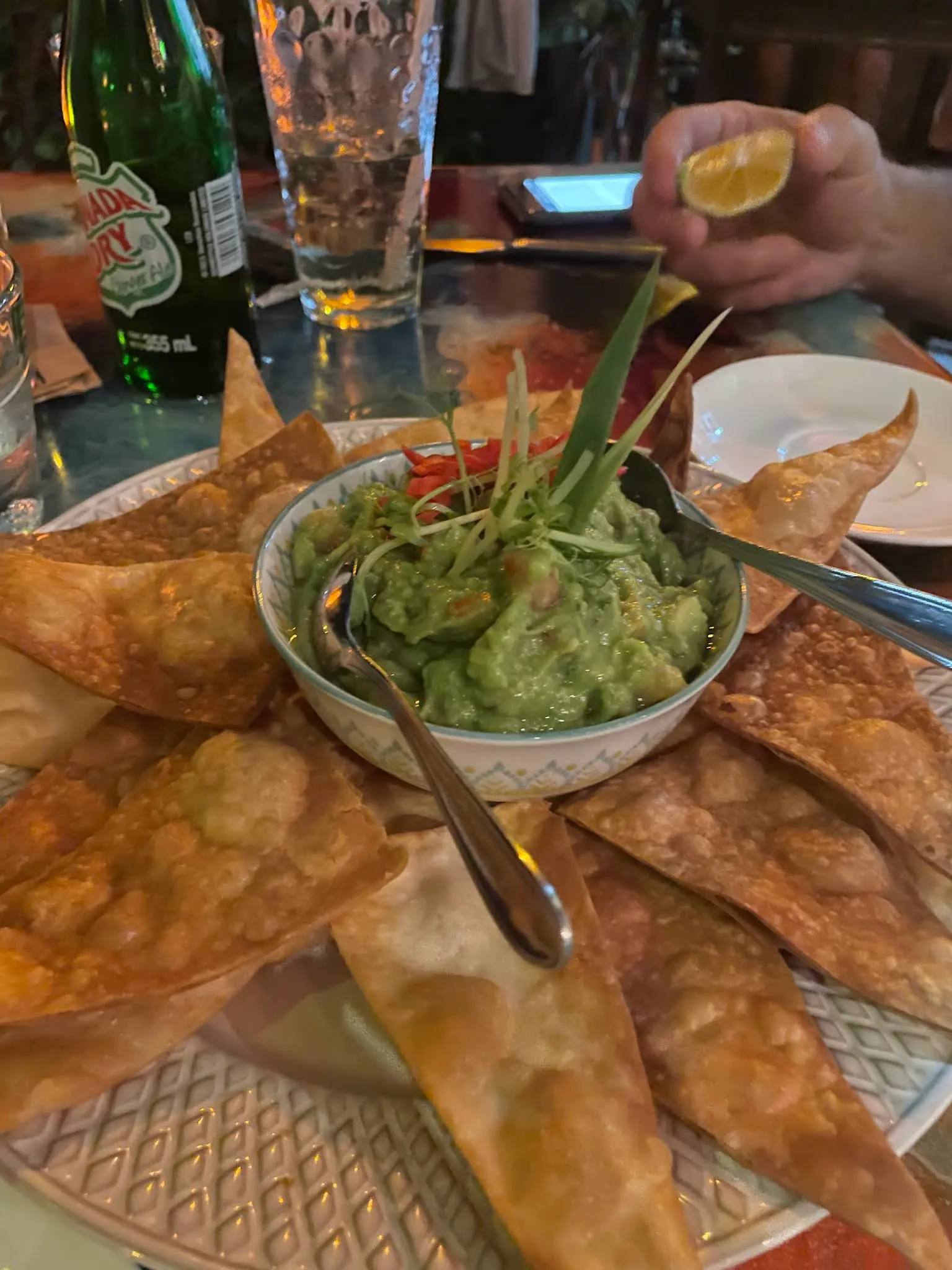 Are we in Mexico or Costa Rica? Guacamole and chips are a worldwide favorite. These were delicious.