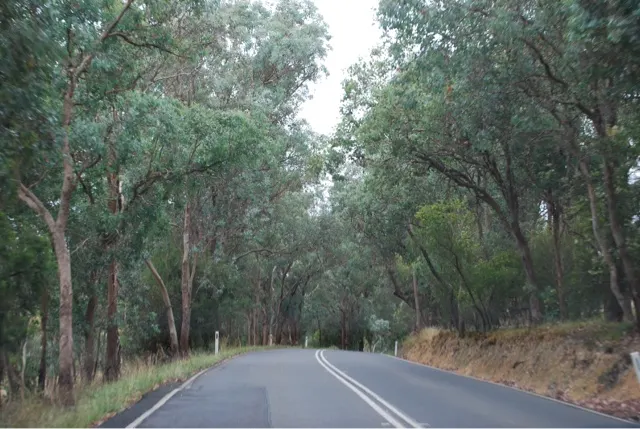 After getting off the freeway, the road looked like this for about 40 minutes as we drove to the animal sanctuary.