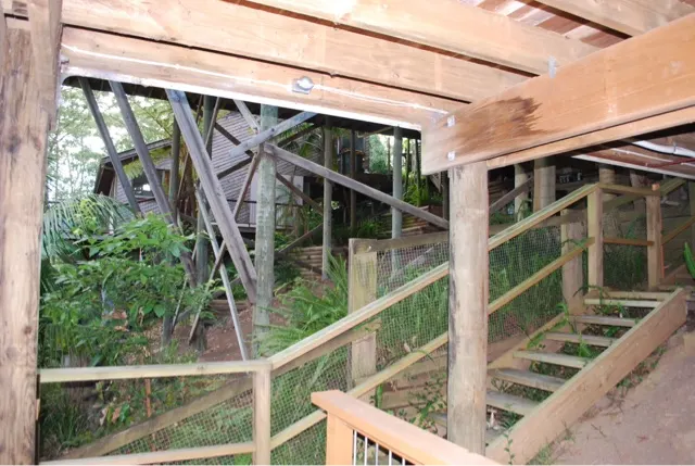 The stairs to our flat in Otford...on the coast line. It sat on a hill and the stilts you see are supporting the main floor where our host, Maureen, resided.
