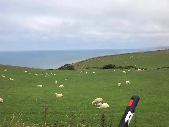 Sheep roaming the hillsides everywhere...