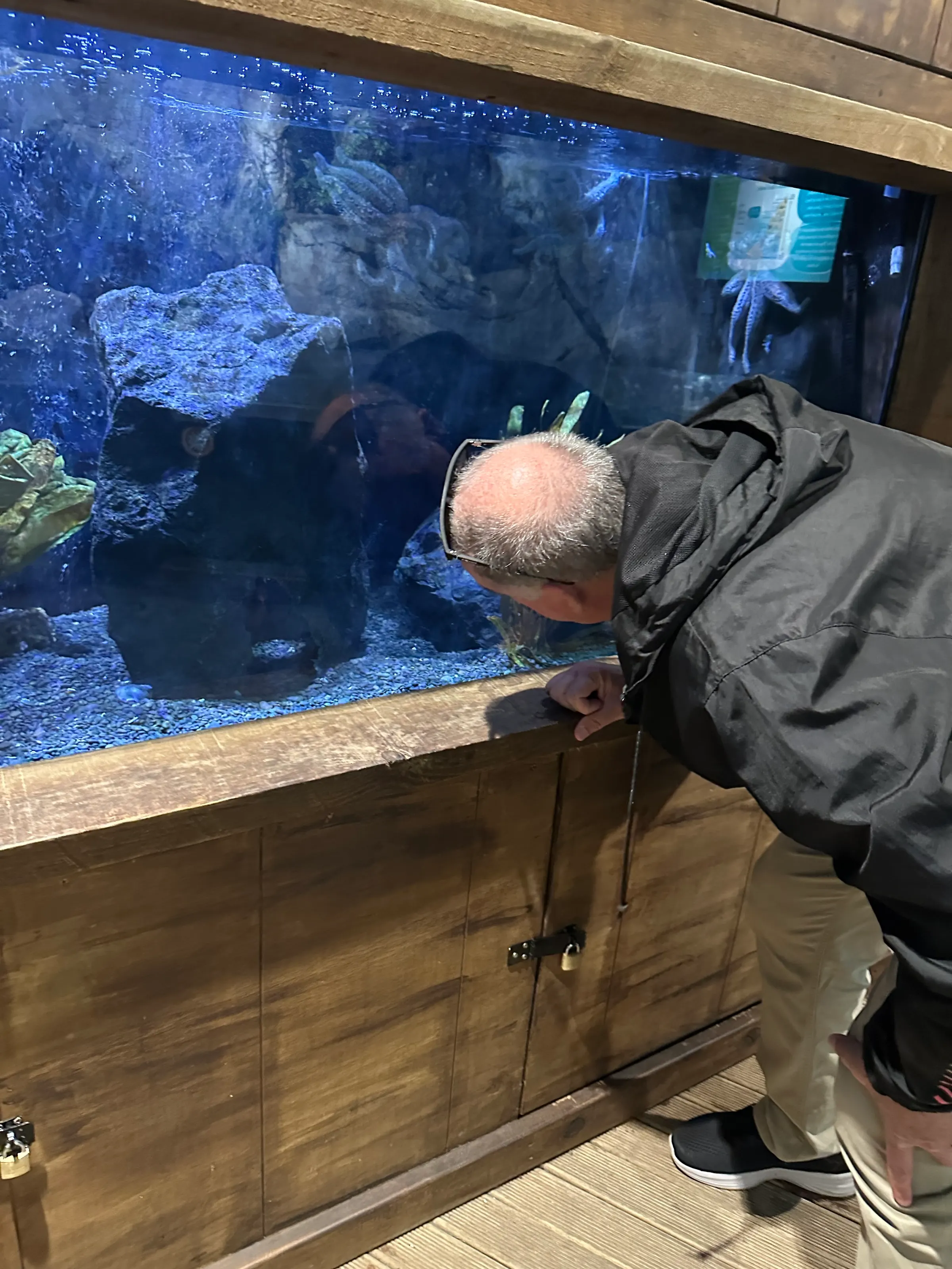 No. I’m not kissing the window. I’m tapping trying to encourage the Moray Eel to come a bit further out.