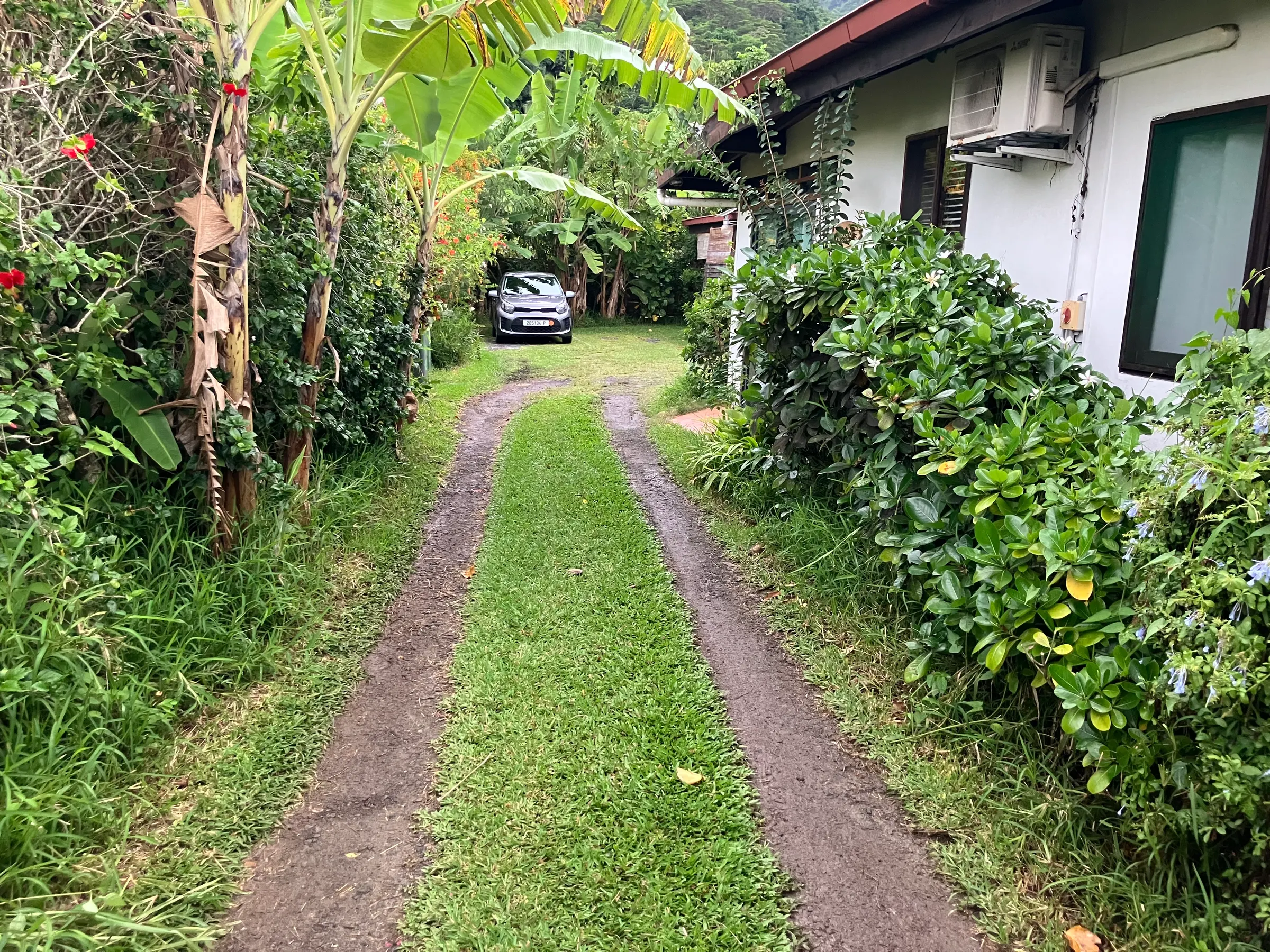 This is our driveway. That is my rental car back there.