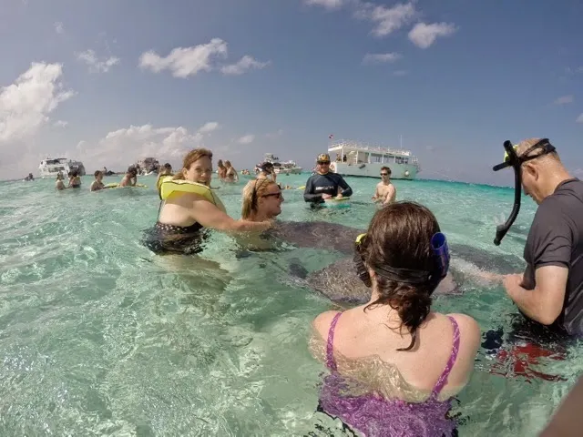 Petty Stingrays .....