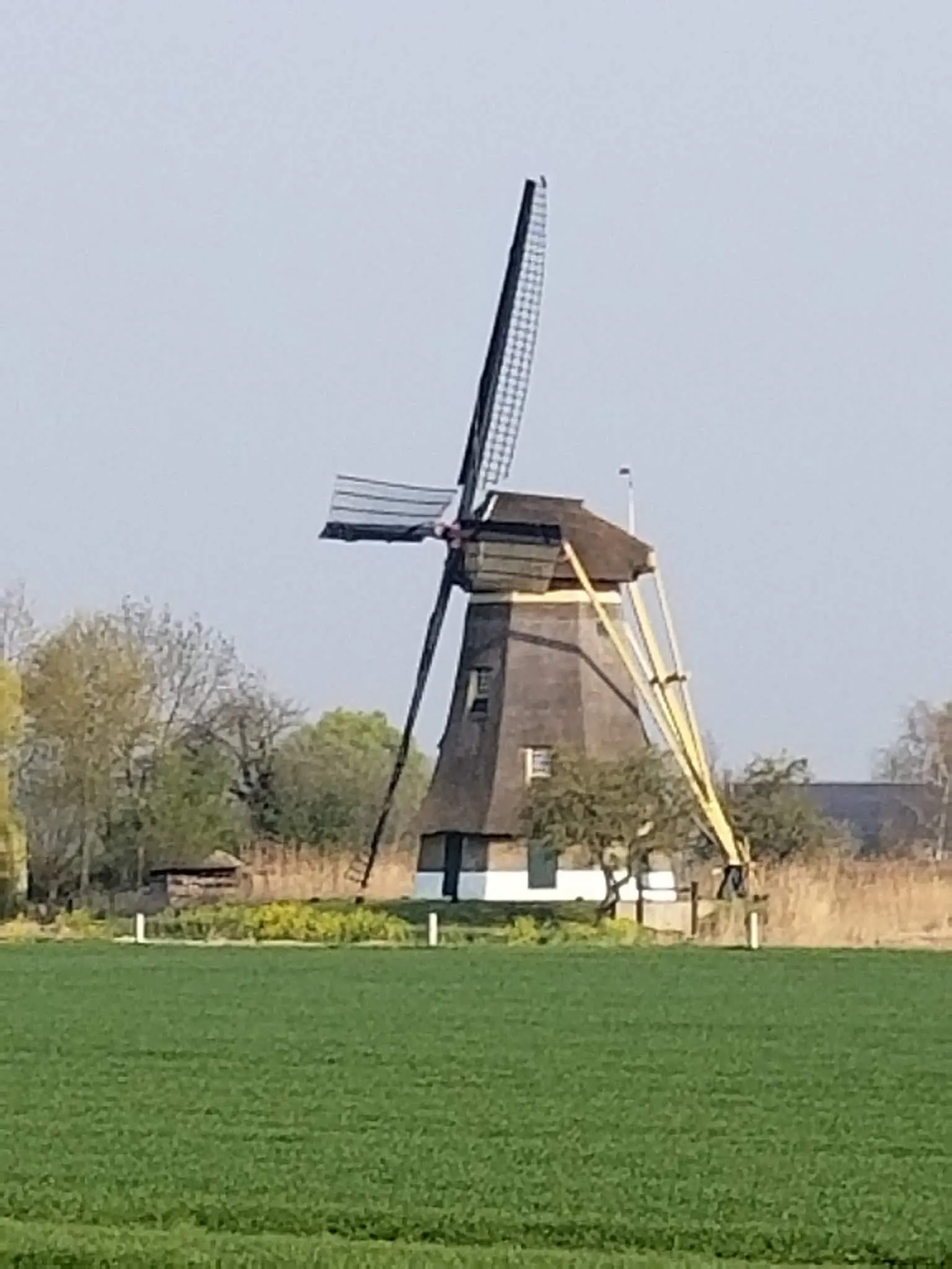 A Wind Mill...actually you see a lot of them.