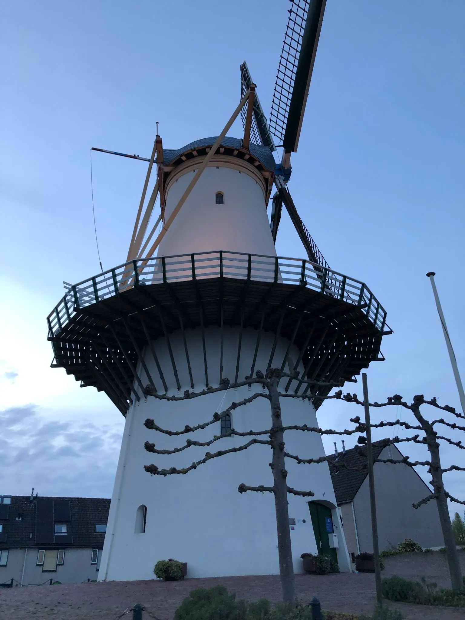 Windmill with crazy tree in front.