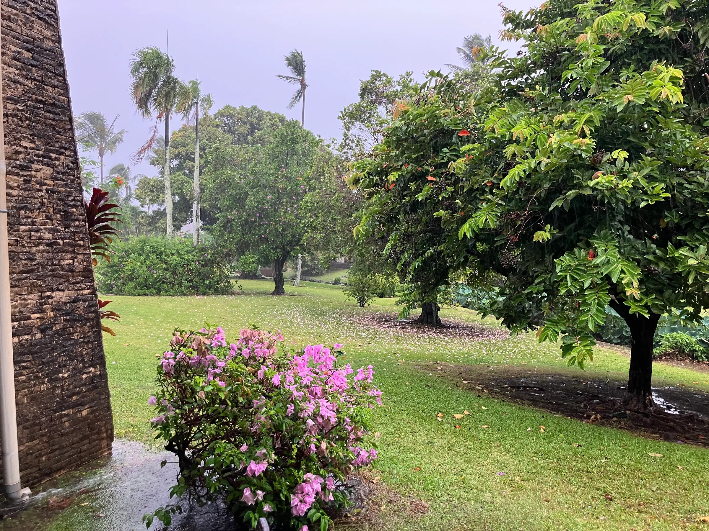 Flowers are pretty!