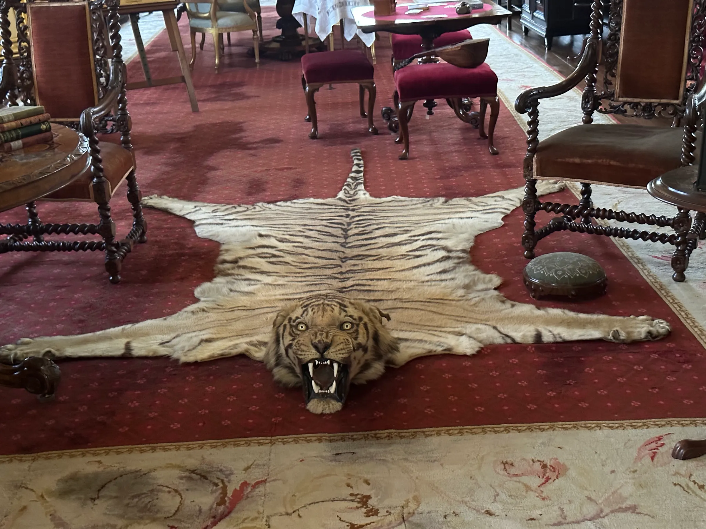 They had lots of animals on walls and rugs. I liked this one.