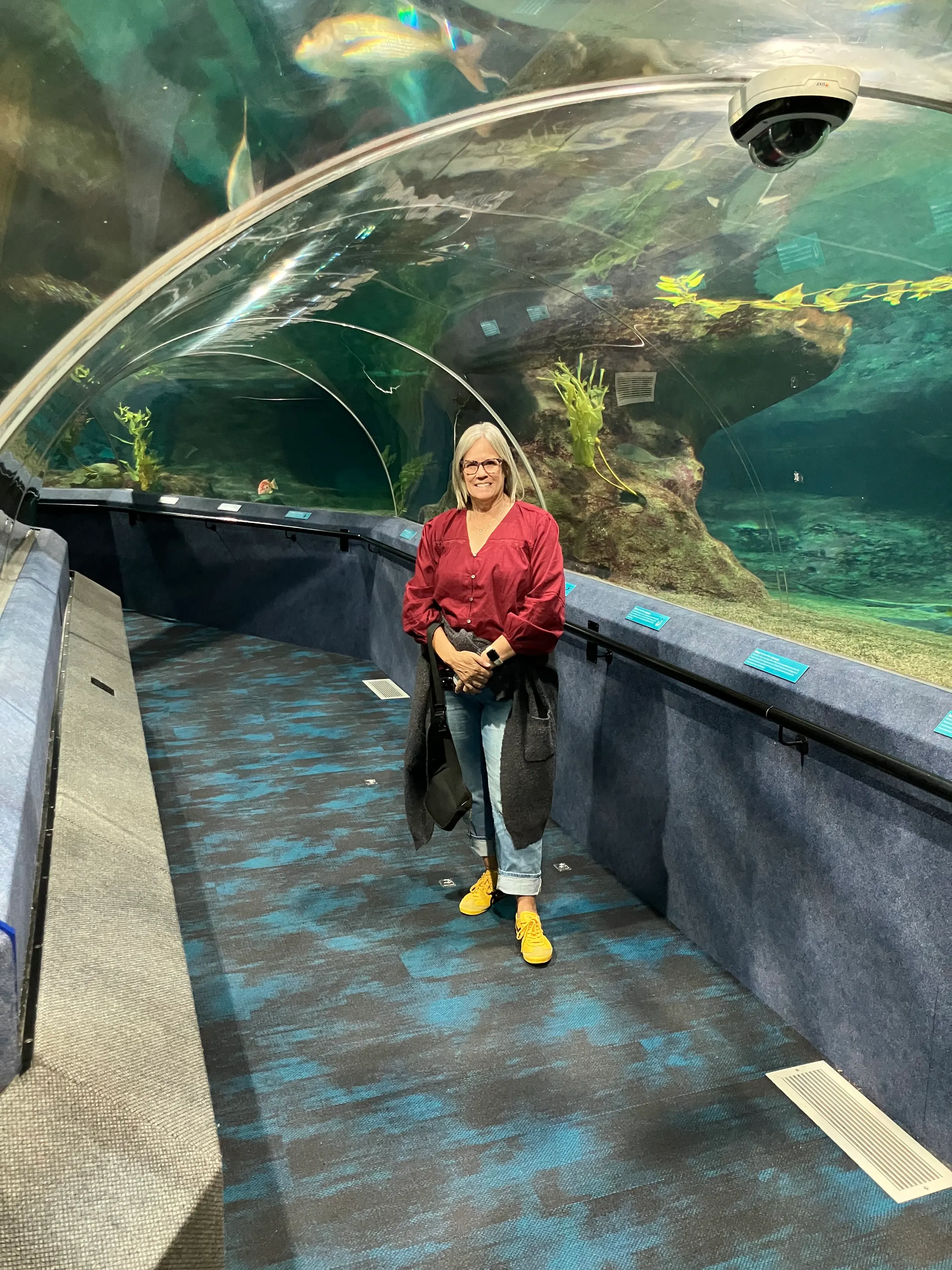 Denise in the tunnel under the big aquarium.